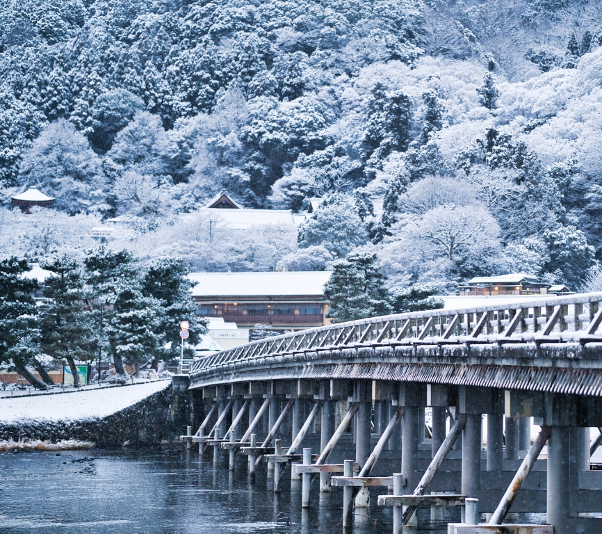 雪に覆われた木と架かる橋とその下の水面の風景