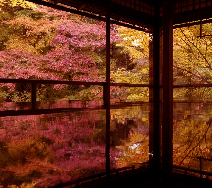 京都の瑠璃光院の池に映る秋の反射、紅葉が水面に美しく広がっている