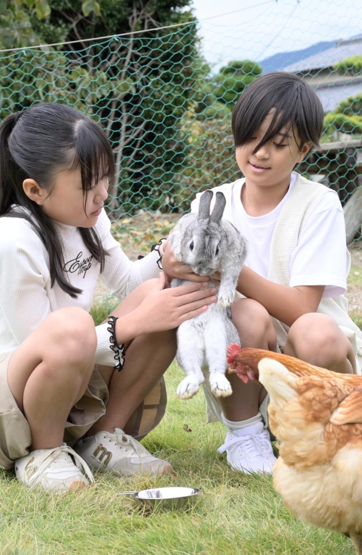 小さな女の子と小さな男の子がウサギを優しく撫でている