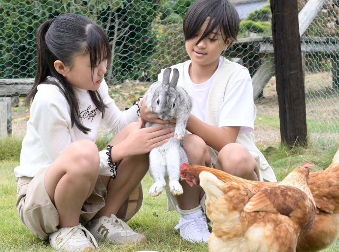 小さな女の子と小さな男の子がウサギを優しく撫でている