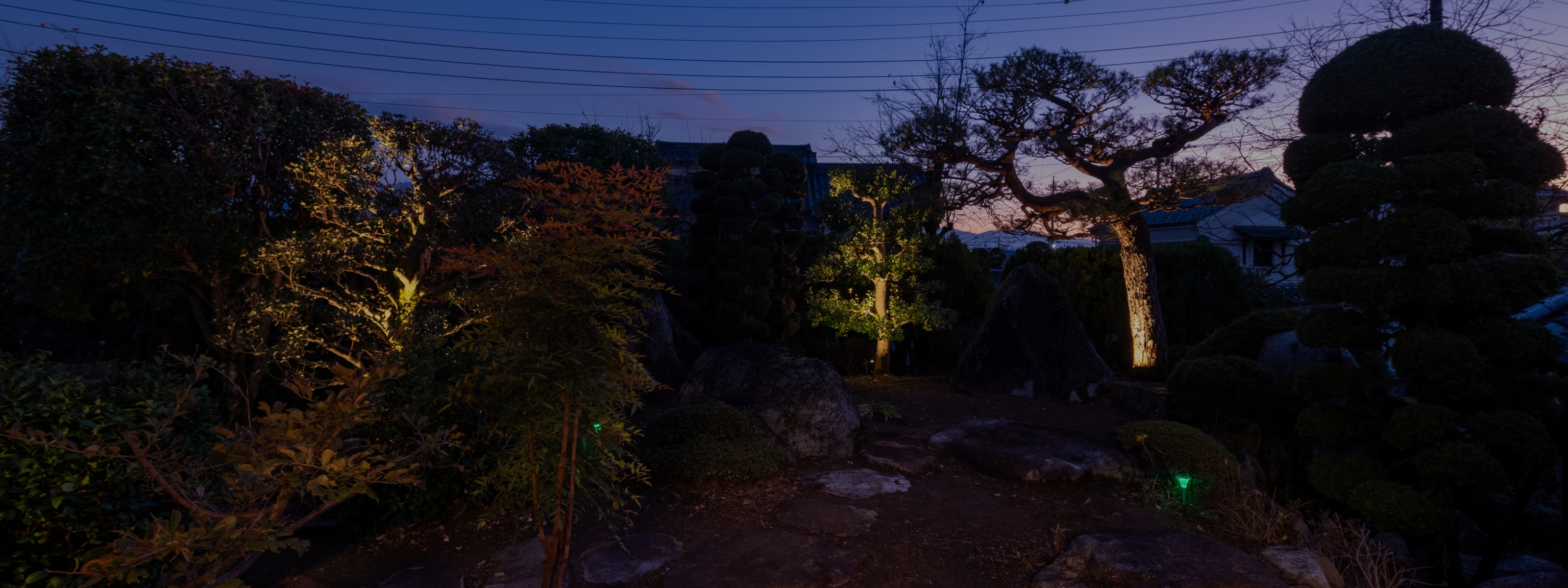 夜の日本庭園、木々と岩が静かに佇む美しい風景